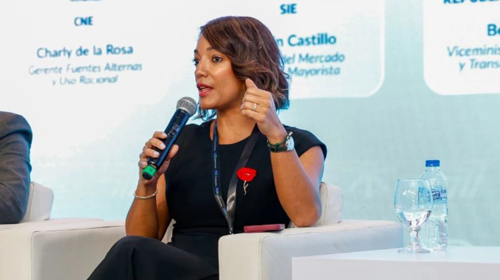 Exclusivo FES Caribe: República Dominicana prepara nuevas licitaciones y proyecta 2000 MW en almacenamiento